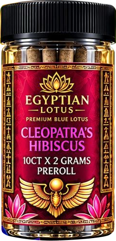 Cleopatra's Hibiscus